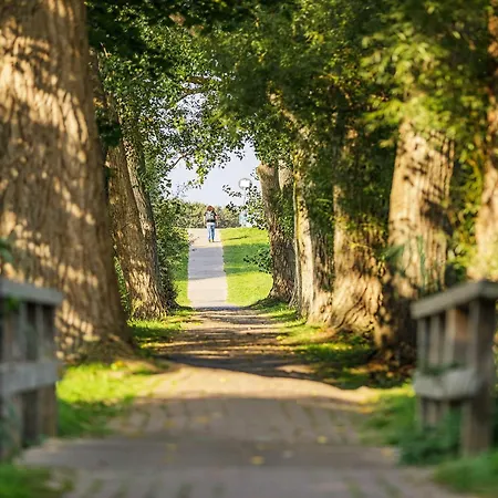 Sommertraum - Charmante 3-zimmer Mit Eckbalkon In 公寓 欧巴德伍斯图